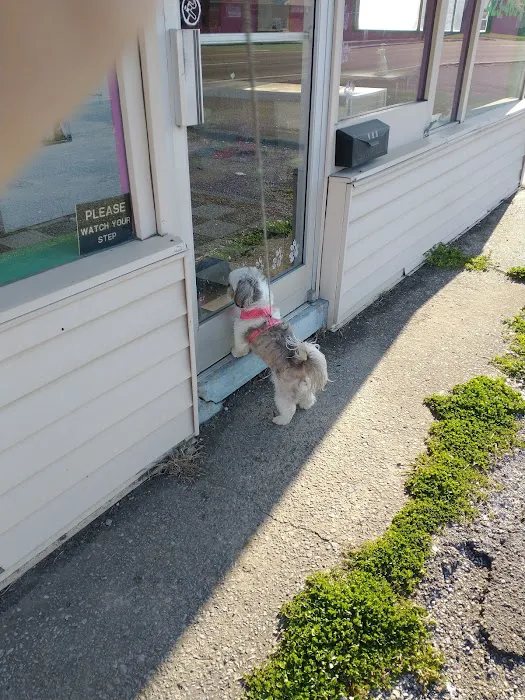 Pickle Puss Pet Boutique 4