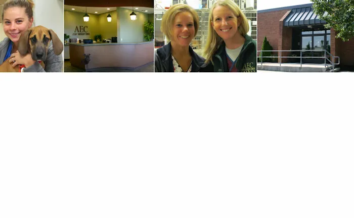 Animal Emergency Center - Novi 6