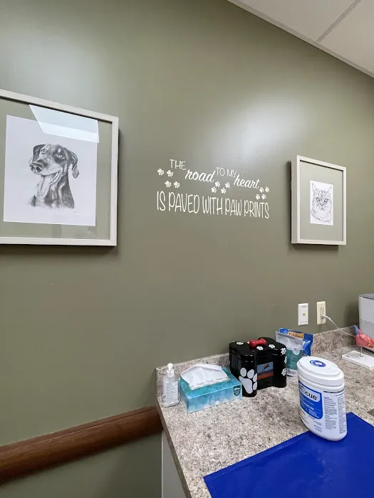 Veterinary Cardiology Consultants 1
