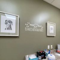 Veterinary Cardiology Consultants ico