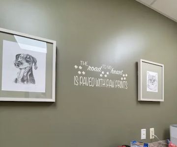 Veterinary Cardiology Consultants