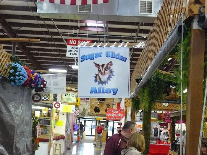 Sugar Glider Alley 5