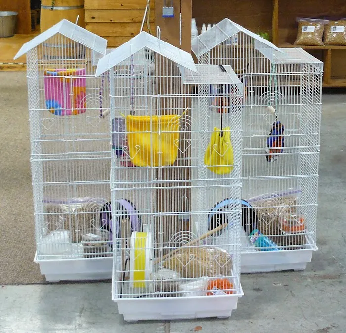 Sugar Glider Alley 7