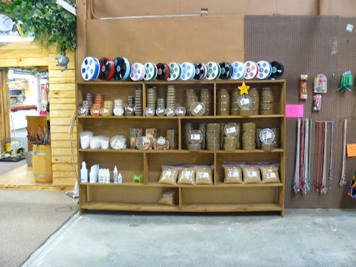 Sugar Glider Alley 8
