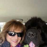 Animal Behavior Consultants of Michigan ico