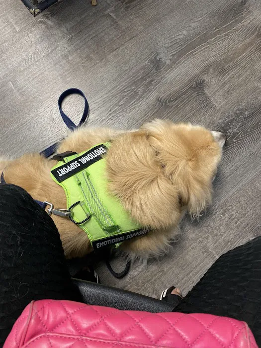 Meadowbrook Veterinary Clinic 5