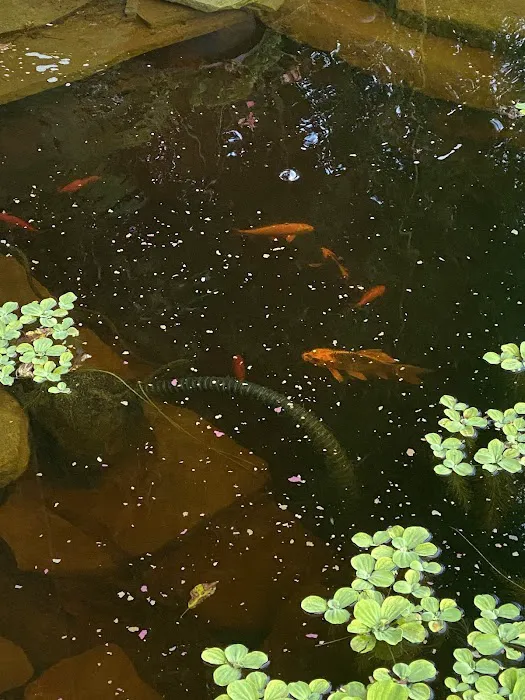 Fresh Aquatics LLC 1