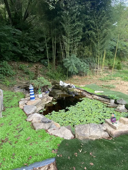 Fresh Aquatics LLC 2