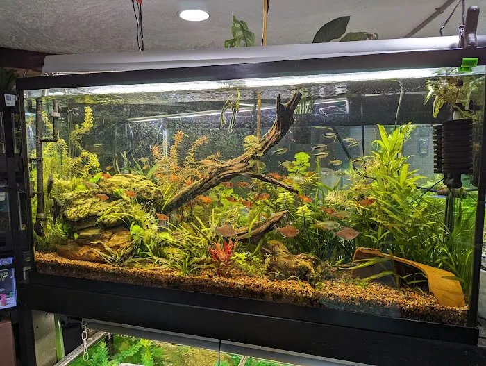 Fresh Aquatics LLC 10