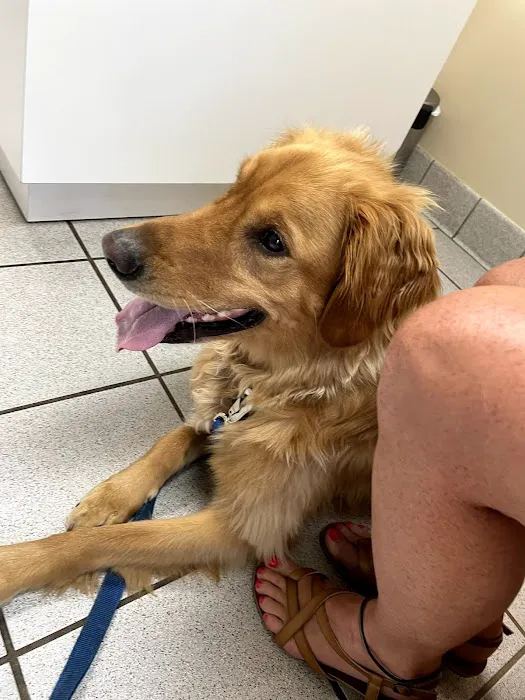 Fowlerville Veterinary Clinic 7