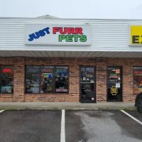 Just Furr-Pets ico