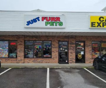 Just Furr-Pets