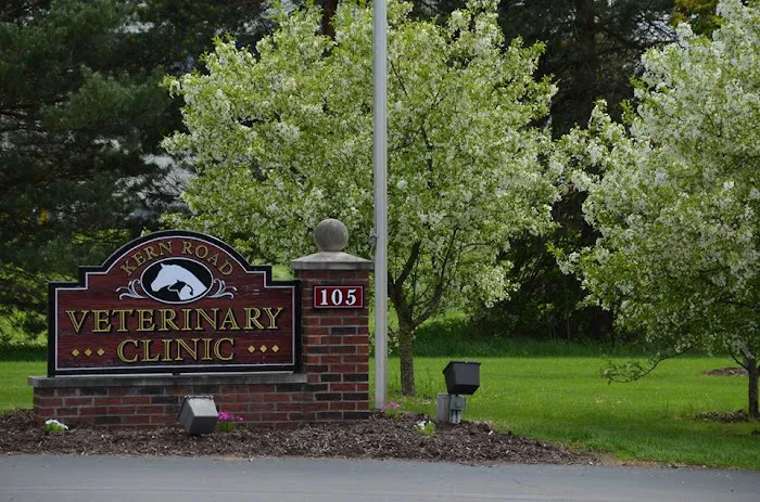 Kern Road Veterinary Clinic 9