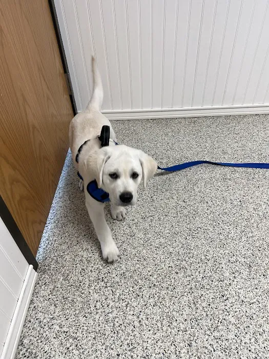 Kern Road Veterinary Clinic 4