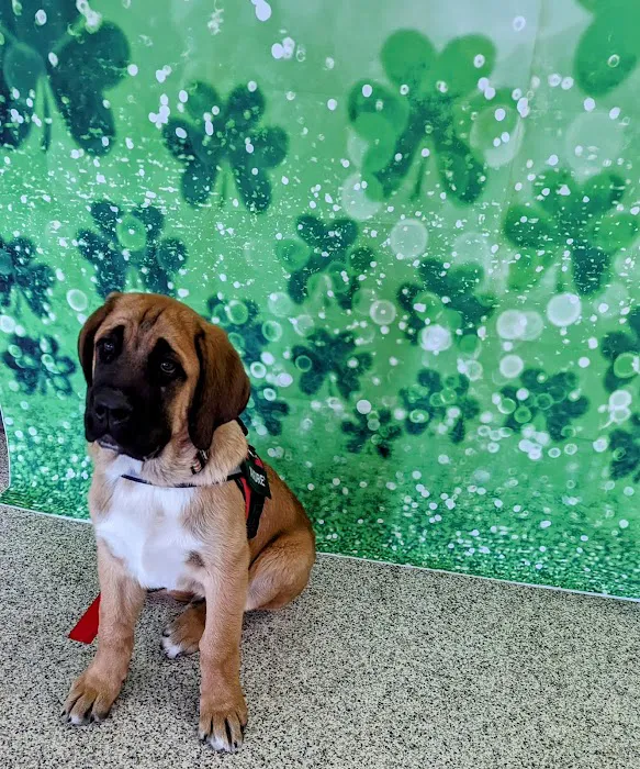 Kern Road Veterinary Clinic 6