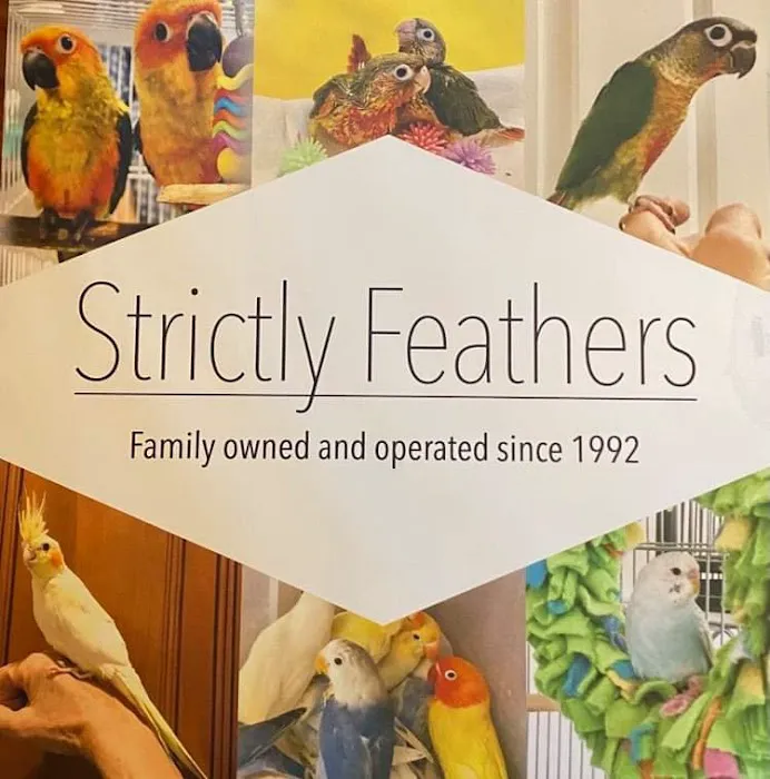 Strictly Feathers 7