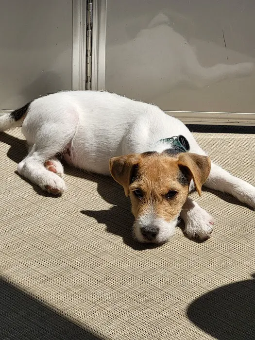 VCA Countryside Animal Hospital of Hamburg 4
