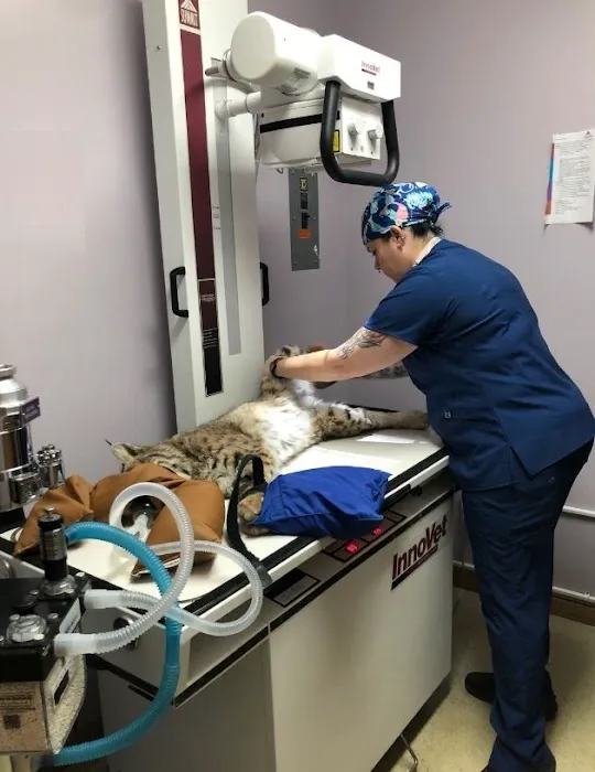 VCA Countryside Animal Hospital of Hamburg 7