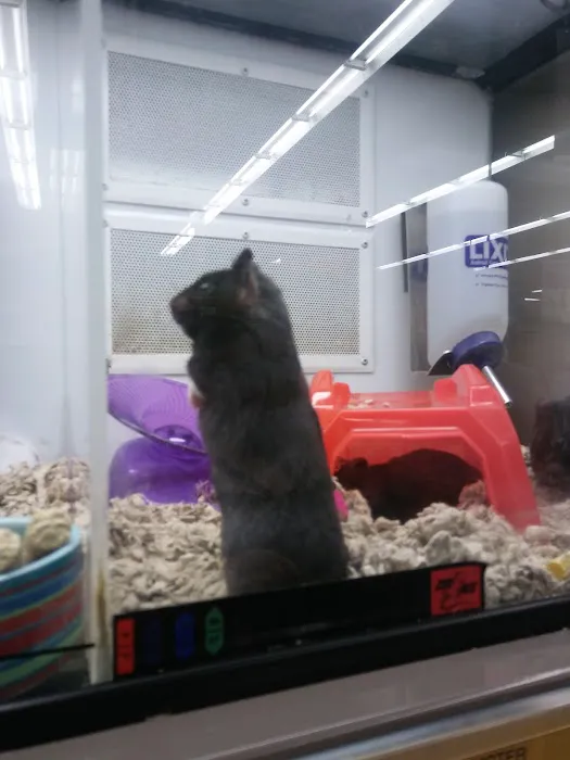 Petco 5
