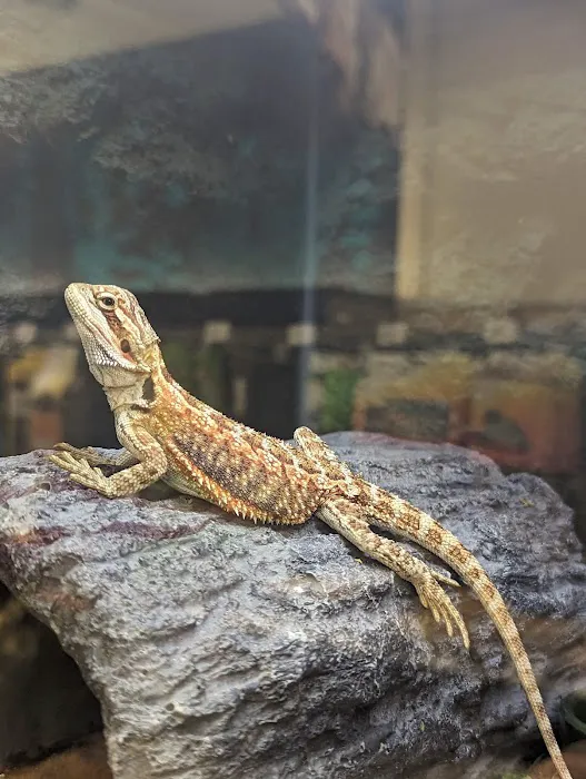 Petco 9