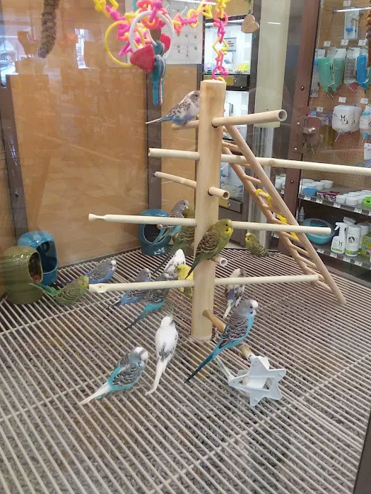 Petco 8