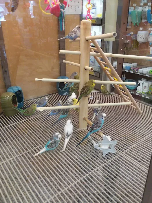 Petco 6