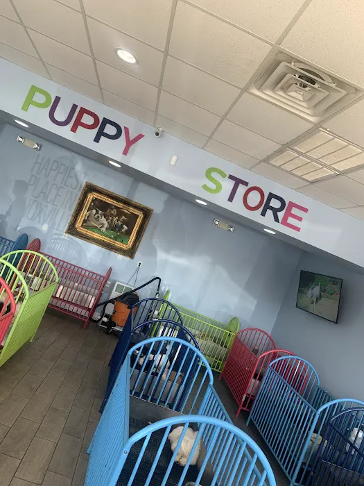 The Puppy Store 6