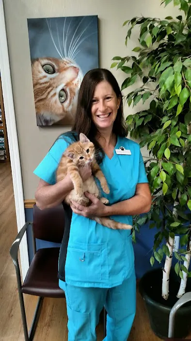 Dandy Acres Animal Hospital 5