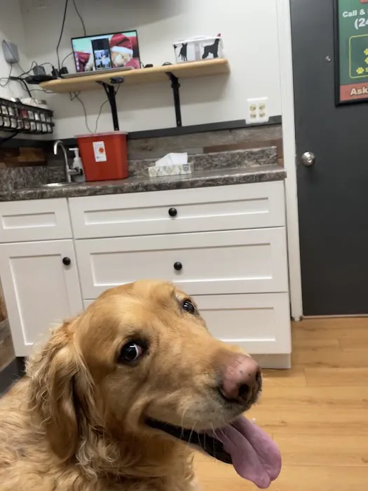 Dandy Acres Animal Hospital 3