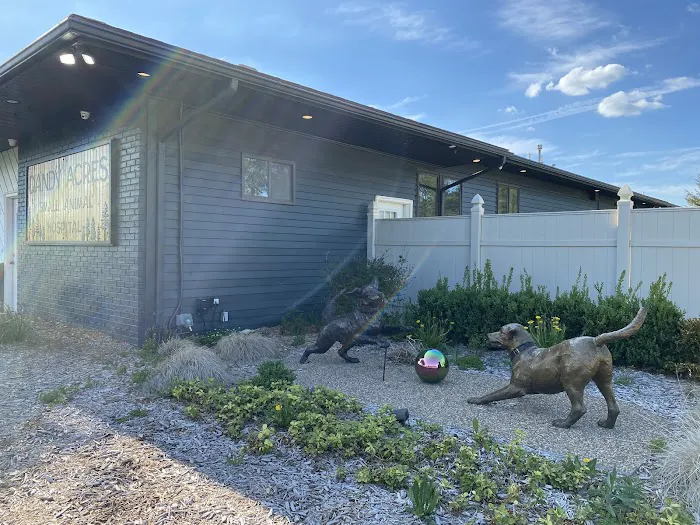 Dandy Acres Animal Hospital 9