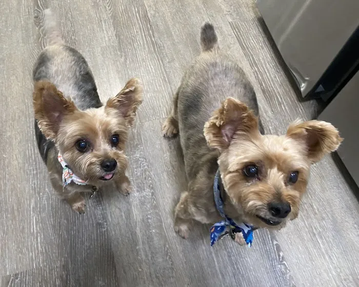 South Lyon Animal Clinic 7