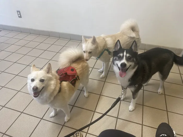 South Lyon Animal Clinic 5