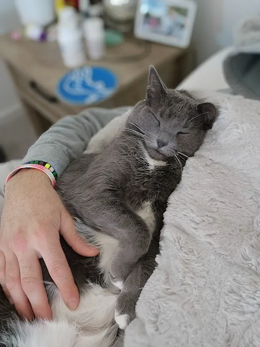 South Lyon Animal Clinic 8