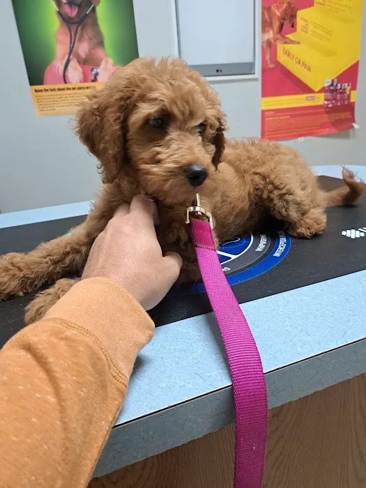 Lyon Veterinary Clinic 6
