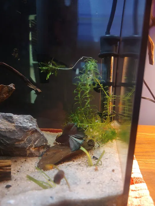 Aquarium 6