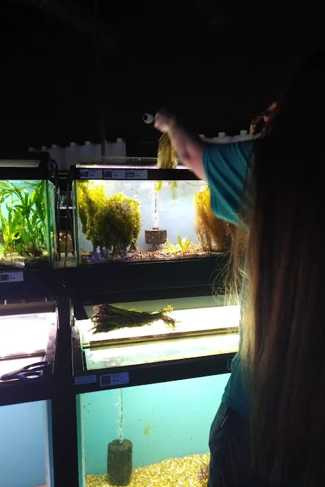 Aquarium 3