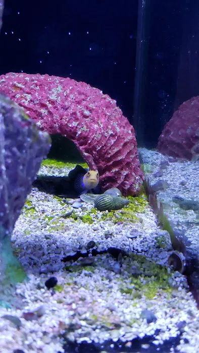Aquarium 8