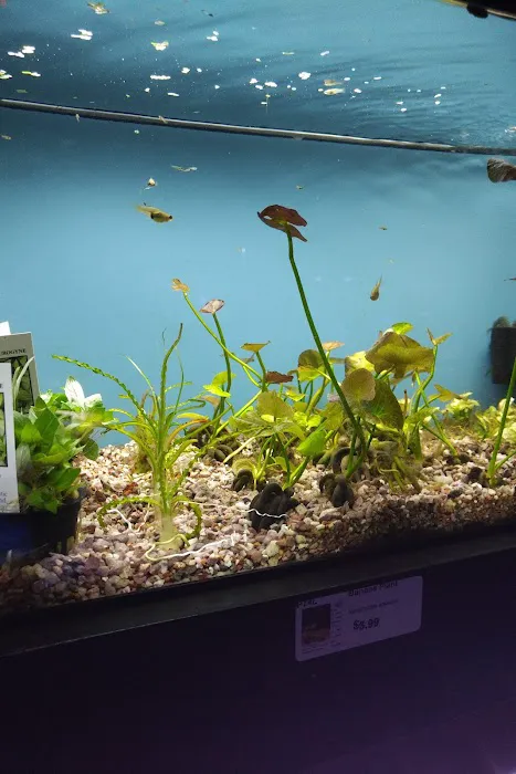 Aquarium 1