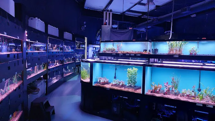 Aquarium 2