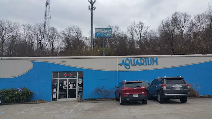 Aquarium 7