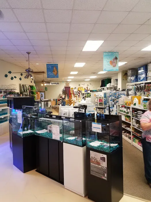 Aquarium 10