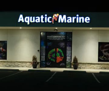 Aquatic Marine