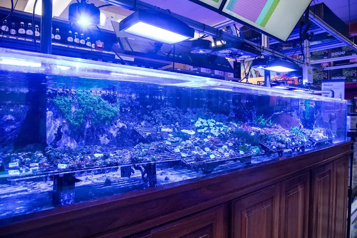 Aquatic Marine 3
