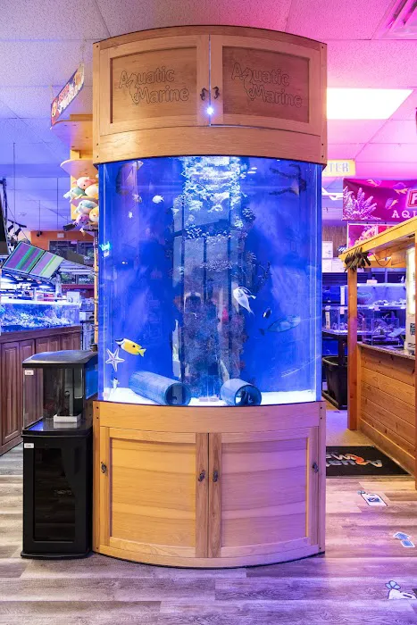 Aquatic Marine 8