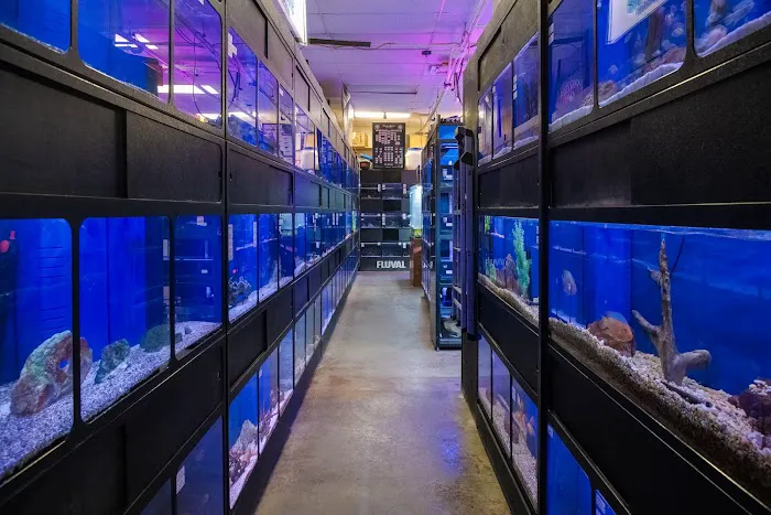 Aquatic Marine 6