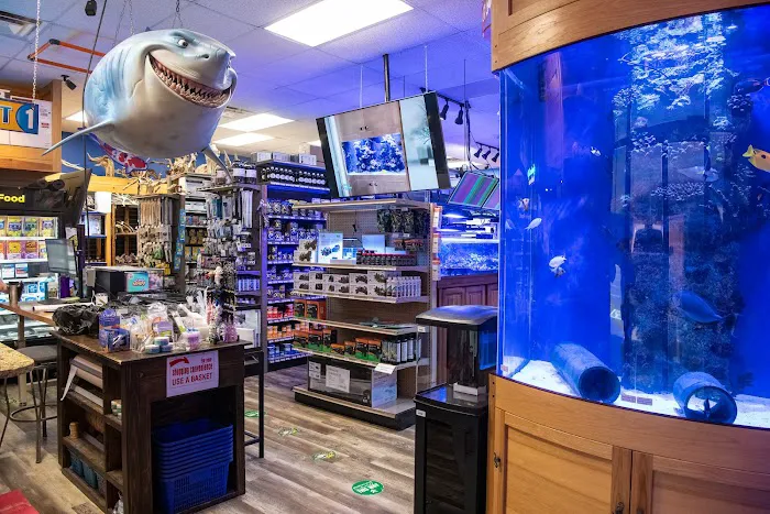 Aquatic Marine 10