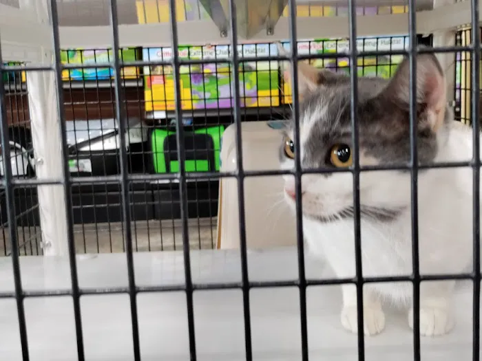 Pet Supermarket 6