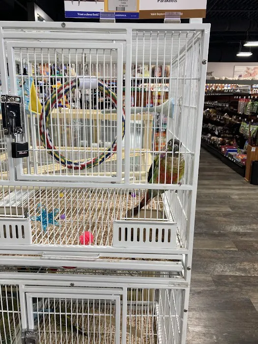 Pet Supermarket 8