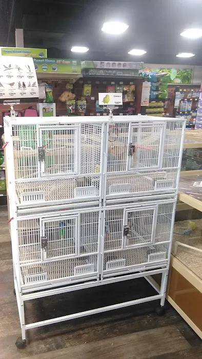 Pet Supermarket 7