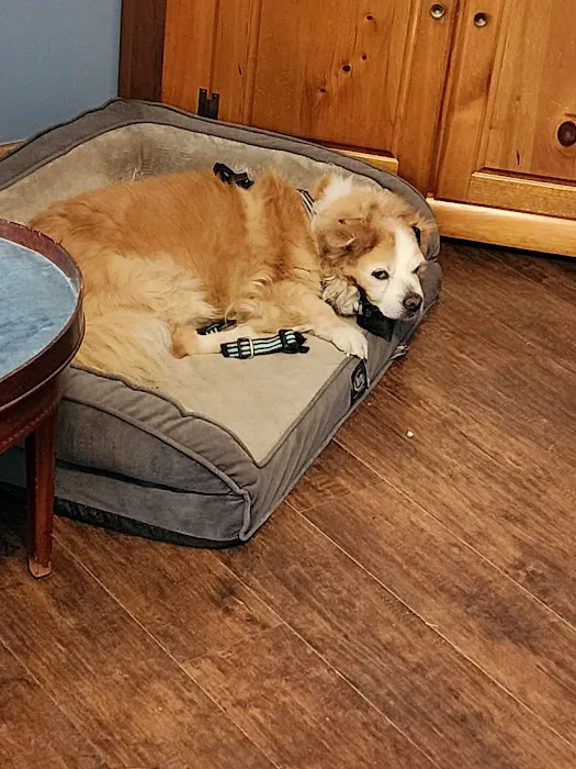 Sullivan Veterinary Hospital 6